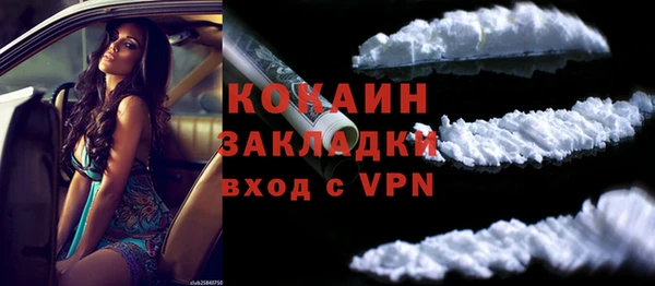 шишки Аркадак