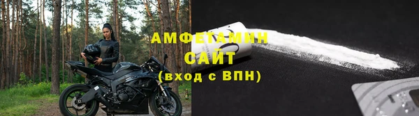 шишки Аркадак