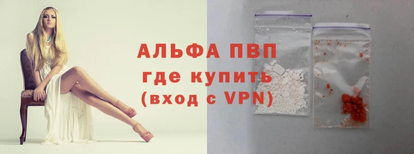 шишки Аркадак