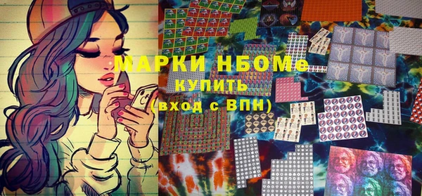 шишки Аркадак