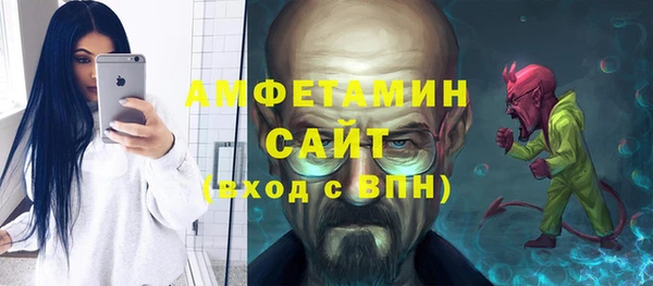 шишки Аркадак