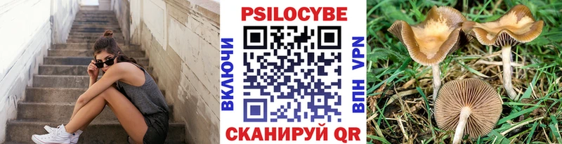 Галлюциногенные грибы мухоморы  Реж 